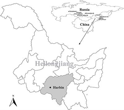 Molecular detection and genetic characterization of bovine hepacivirus identified in ticks collected from cattle in Harbin, northeastern China